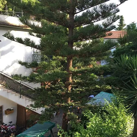 Guest house Mondello Room *